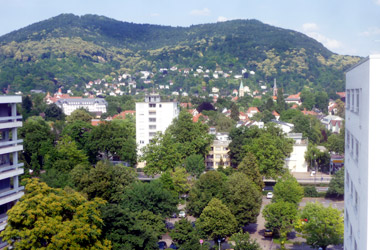 Entwicklungsperspektiven der Ruprecht-Karls-Universität Heidelberg
