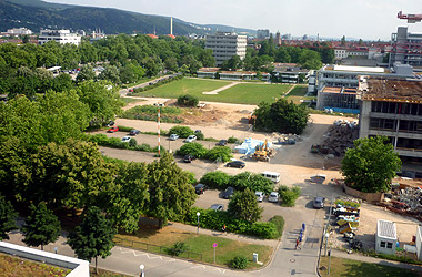 Entwicklungsperspektiven der Ruprecht-Karls-Universität Heidelberg