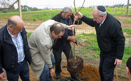 Heidelberger Delegation in der israelischen Partnerstadt Rehovot